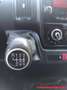 Fiat Ducato 30 2.2 Mjt 120CV PC-TN Furgone Blanco - thumbnail 11