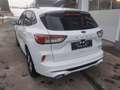 Ford Kuga 2,5 Duratec PHEV ST-Line X Aut. Weiß - thumbnail 3