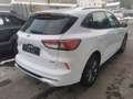 Ford Kuga 2,5 Duratec PHEV ST-Line X Aut. Weiß - thumbnail 7