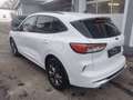 Ford Kuga 2,5 Duratec PHEV ST-Line X Aut. Weiß - thumbnail 10