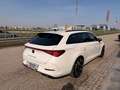 CUPRA Leon SP Kombi Alpha 2.0 TDI DSG 150/AHK/RFK/TWA/ACC/... Weiß - thumbnail 7