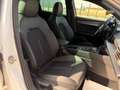 CUPRA Leon SP Kombi Alpha 2.0 TDI DSG 150/AHK/RFK/TWA/ACC/... Weiß - thumbnail 26