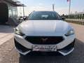 CUPRA Leon SP Kombi Alpha 2.0 TDI DSG 150/AHK/RFK/TWA/ACC/... Weiß - thumbnail 10