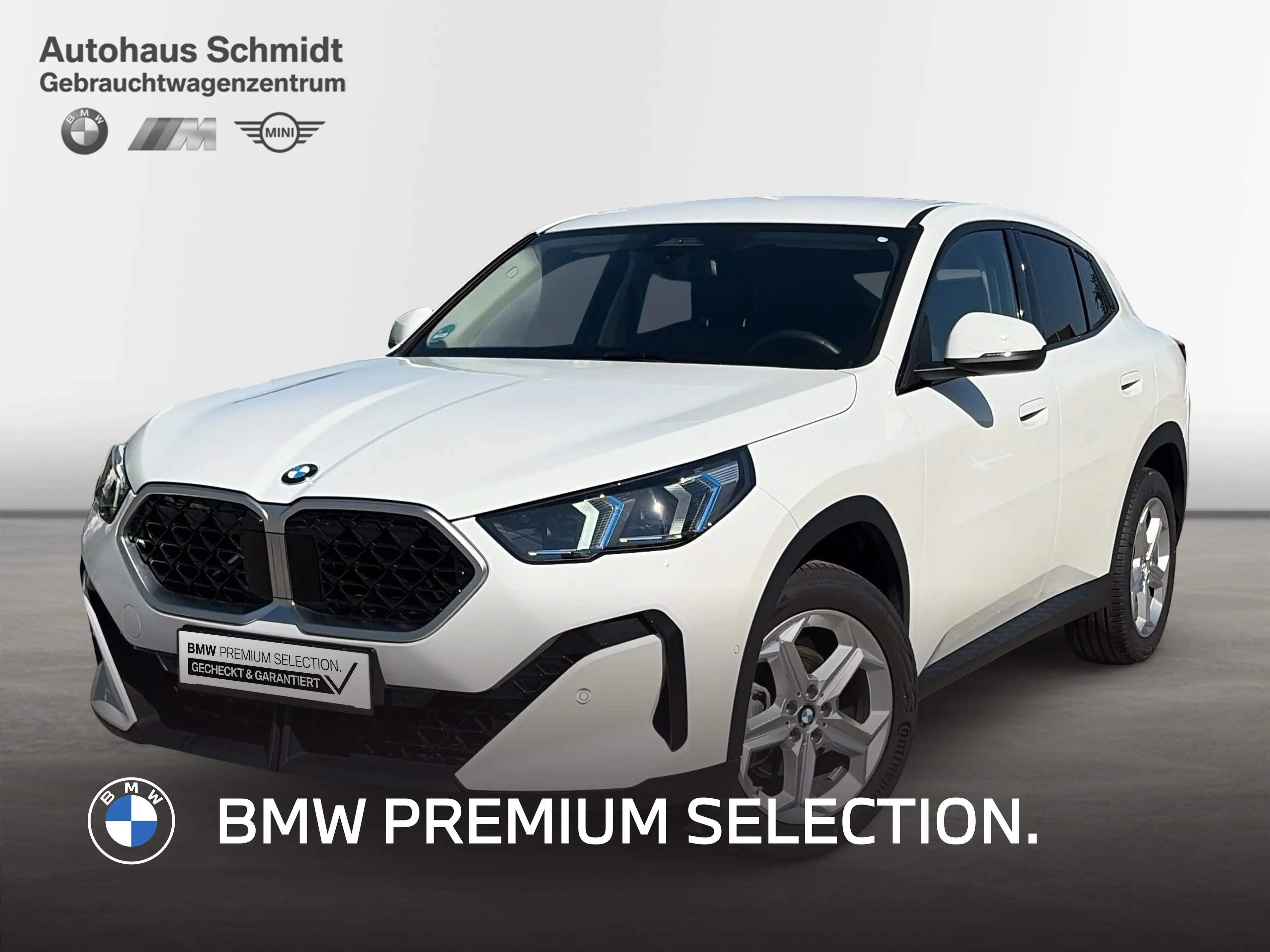 BMW X2 sDrive20d 373€ netto/mtl.*18"*LC+*DAB*AHK*Adapt.LE