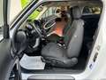 MINI Cooper D Paceman 2.0D automatico TAGLIANDI MINI GARANZIA 24 MESI Blanc - thumbnail 5