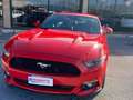 Ford Mustang Fastback 2.3 ecoboost 317cv Rosso - thumbnail 3