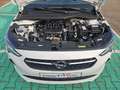 Opel Corsa F Edition 1.2, Android-Auto, Allwetter, PDC Weiß - thumbnail 15