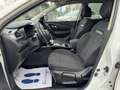 Renault Kadjar 1.5 dci energy Intens 110cv Wit - thumbnail 14