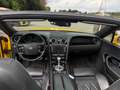 Bentley Continental GTC 6.0 W12 CABRIO/KEYLESS/LEDER/CAMERA/VOL OPTIE Jaune - thumbnail 8