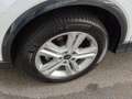Audi Q2 30 2.0 TDI S line LED 17" Alu Apple CP PDC Weiß - thumbnail 15