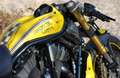 Harley-Davidson VRSC Night Rod Žlutá - thumbnail 3