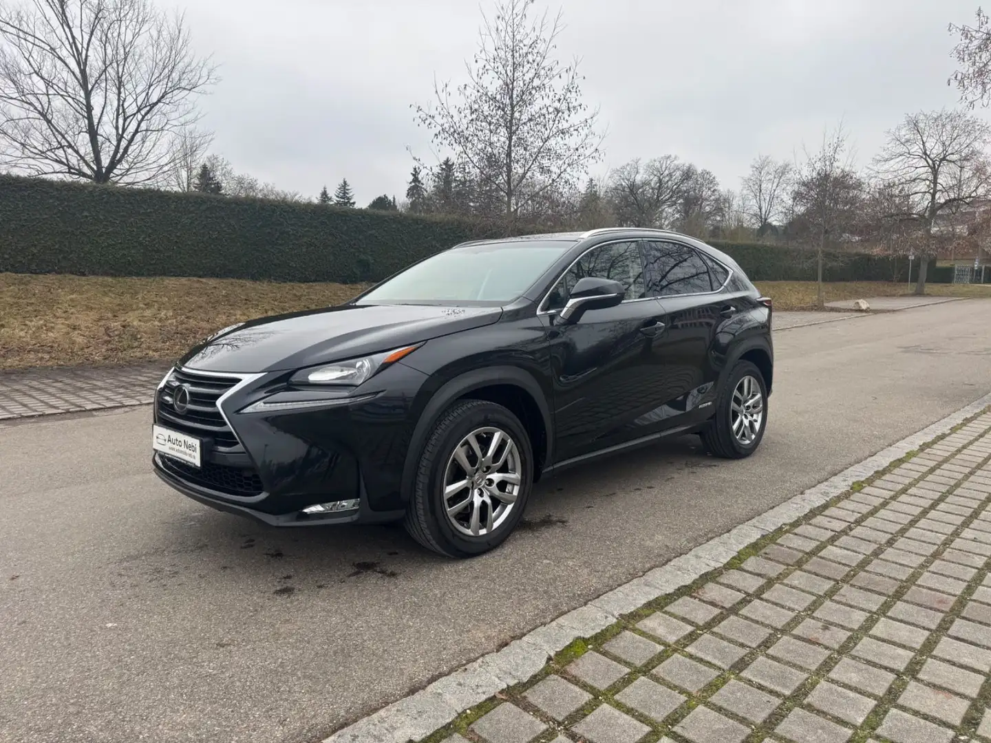 Lexus NX 300 H*Limited*Navi*SHZ*Display*Kamera* Schwarz - 1