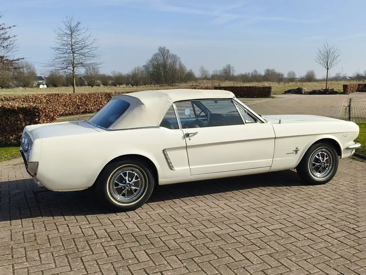Ford Mustang CONVERTIBLE F CODE 1964.5 First Year Production!, foto 8