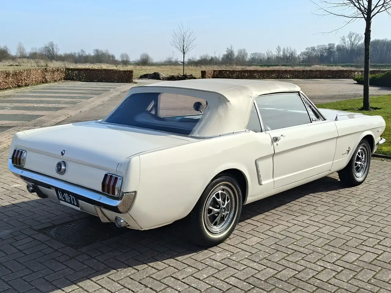 Ford Mustang CONVERTIBLE F CODE 1964.5 First Year Production!, foto 9