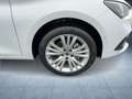SEAT Leon Style Edition 1.5 eTSI Nav/ACC/Kam/Assist/L Weiß - thumbnail 8