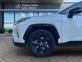 Toyota RAV 4 2.5 HV (222CV) E-CVT AWD-i Style Wit - thumbnail 22