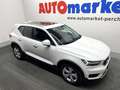 Volvo XC40 2.0 d3 Momentum awd geartronic my20 Bianco - thumbnail 3
