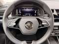 Skoda Kamiq Selection Grau - thumbnail 15