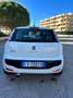 Fiat Punto Evo 5p 1.4 natural power MyLife 70cv Bianco - thumbnail 4