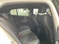 BMW 120 Hatch M Sport Professional LC Prof/ Head Up/ DA Pl Blanc - thumbnail 19
