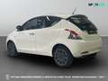 Lancia Ypsilon III - Ypsilon 1.2 Gold s&s 69cv my19 Bianco - thumbnail 6