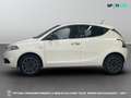 Lancia Ypsilon III - Ypsilon 1.2 Gold s&s 69cv my19 Bianco - thumbnail 4