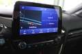 Ford Puma ST-LINE 125 PS EcoBoost/Benzin Hybrid (AKTIONSP... Grau - thumbnail 16