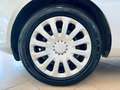 Ford Fiesta Plus 1.4 GPL - 149.000 Km - EURO6 Argento - thumbnail 8