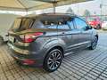 Ford Kuga Kuga 1.5 EcoBoost 120 CV S&S 2WD ST-Line Grau - thumbnail 3