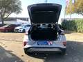 Ford Puma 1.0 EcoBoost Aut. TITANIUM Matter Grey Toterwinkel Grigio - thumbnail 15