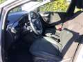 Ford Puma 1.0 EcoBoost Aut. TITANIUM Matter Grey Toterwinkel Grigio - thumbnail 11