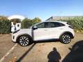 Ford Puma 1.0 EcoBoost Aut. TITANIUM Matter Grey Toterwinkel Grigio - thumbnail 8