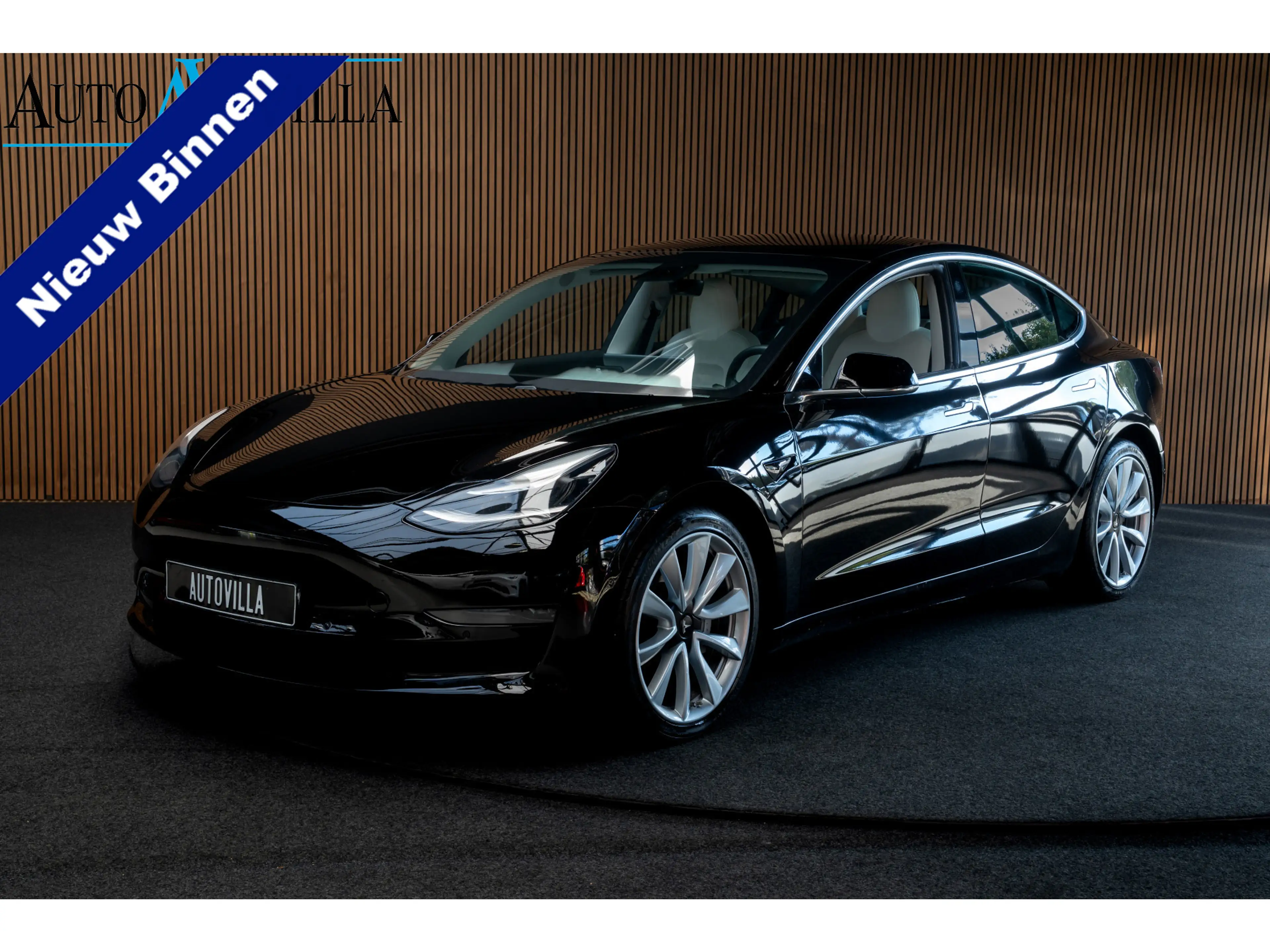 Tesla Model 3 Long Range AWD 75 kWh Panodak Leer 360° ACC Climat