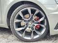 Skoda Octavia Combi RS 2,0 TDI DSG - thumbnail 9