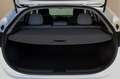 Hyundai IONIQ Ioniq Elektro 38kWh Level 4 Aut. / LED / NAVI /... Weiß - thumbnail 24