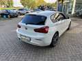 BMW 116 116I ED.SPORT-LINE SHADOW EXECUTIVE NAVI LMV PDC Blanc - thumbnail 3