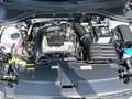 Volkswagen T-Roc Life 1.0 TSI LED Navi App Connect Einparkhilfe Weiß - thumbnail 16