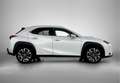 Lexus UX 250h Executive Line Limited | Premium uitgevoerd | Wit - thumbnail 16