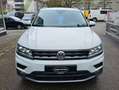 Volkswagen Tiguan Comfortline BMT/Start-Stopp 4Motion 1Jahr Garantie Weiß - thumbnail 2