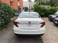Fiat Tipo 4p 1.6 mjt Easy 120cv - thumbnail 4
