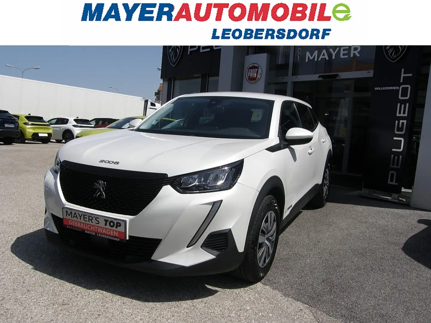 Peugeot 2008 PureTech 100 S&S Active 6-Gang-Manuell Blanc - 1