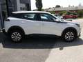 Peugeot 2008 PureTech 100 S&S Active 6-Gang-Manuell Blanc - thumbnail 3