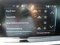 Peugeot 2008 PureTech 100 S&S Active 6-Gang-Manuell Blanc - thumbnail 14
