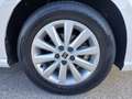 SEAT Ibiza SEAT IBIZA 1.0 BENZINA MPI STYLE 80CV 5P 2022 Wit - thumbnail 18
