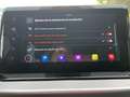 SEAT Arona 1.0 TSI S&S FR DSG7 XM Edition 110 Blanco - thumbnail 16