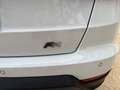 SEAT Arona 1.0 TSI S&S FR DSG7 XM Edition 110 Blanco - thumbnail 9