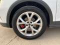 SEAT Arona 1.0 TSI S&S FR DSG7 XM Edition 110 Blanco - thumbnail 23