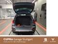 SEAT Arona 1.0 TSI Xcellence BEATS DSG 81 kW *Winterp Grau - thumbnail 8
