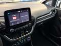 Ford Fiesta 1.1 75 CV 3 porte Van 2 posti  Trend Bianco - thumbnail 10