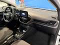 Ford Fiesta 1.1 75 CV 3 porte Van 2 posti  Trend Bianco - thumbnail 9